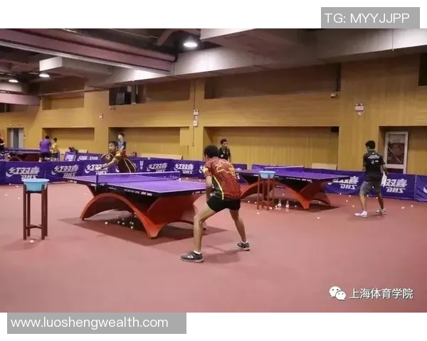 武汉乒乓球队挑战赛特别报道：从磨砺到辉煌的奋斗历程与突破之路